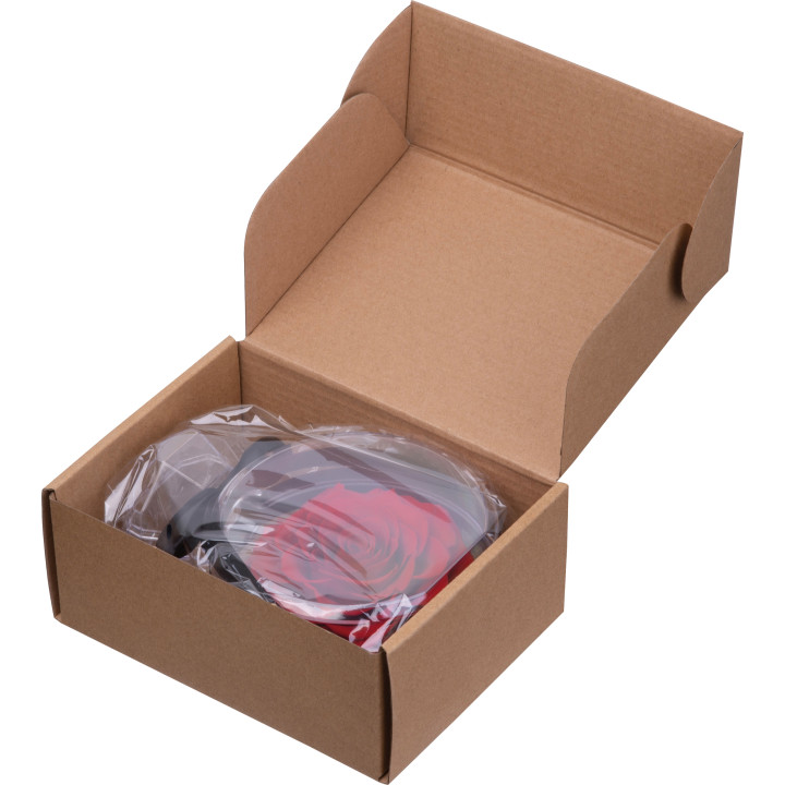 Róża dekoracyjna MARCELLA