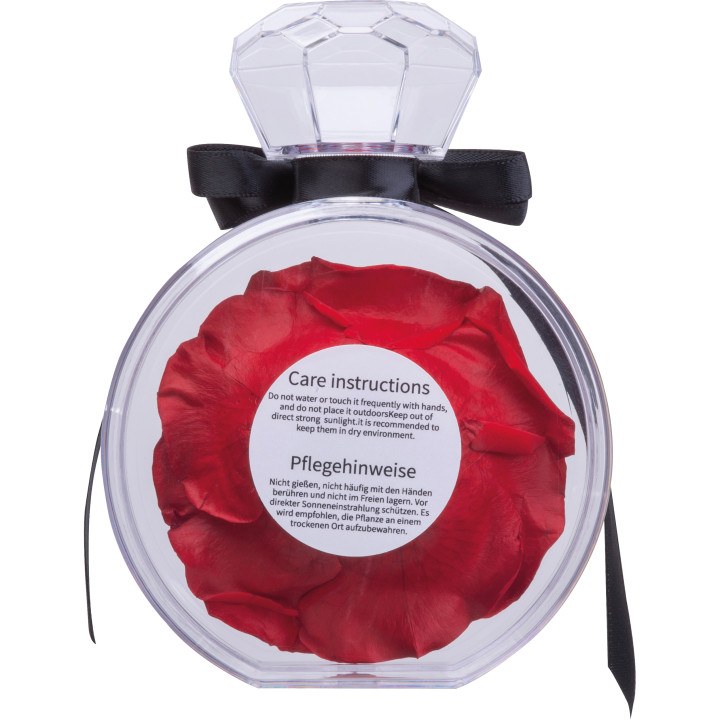 Róża dekoracyjna MARCELLA