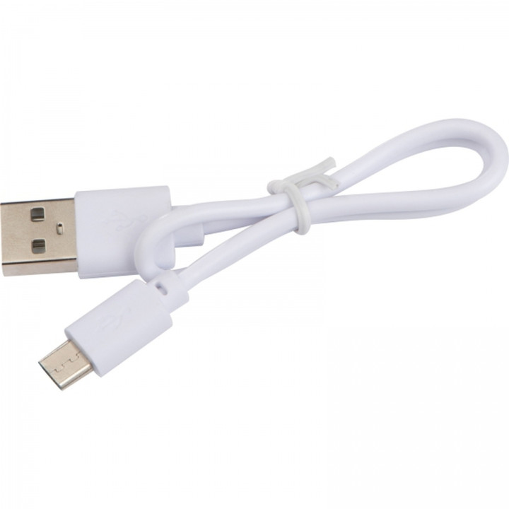 Ładowarka indukcyjna NIKOLA