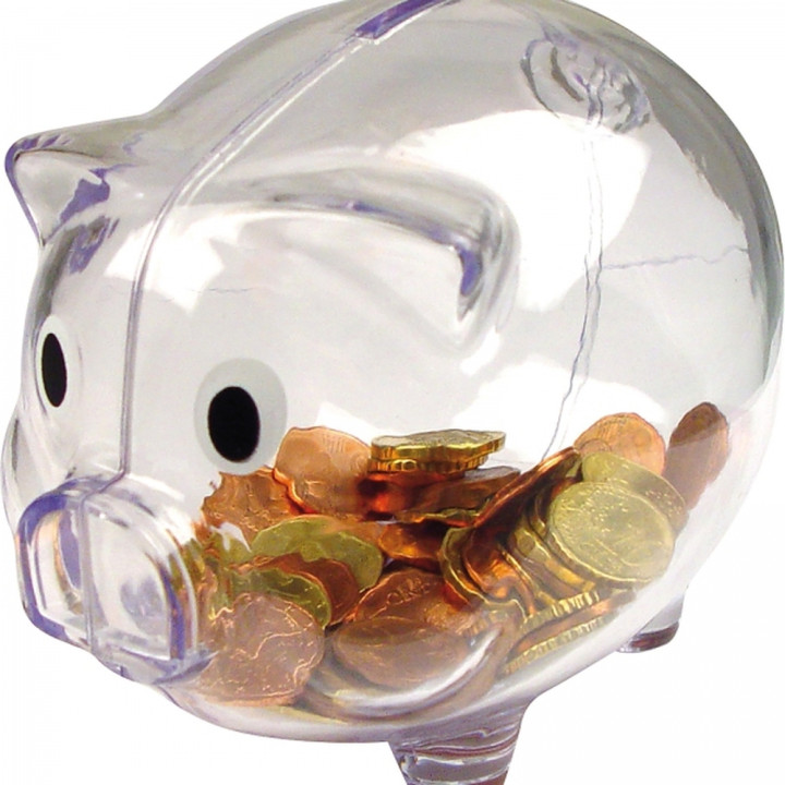 Skarbonka świnka TRUDY