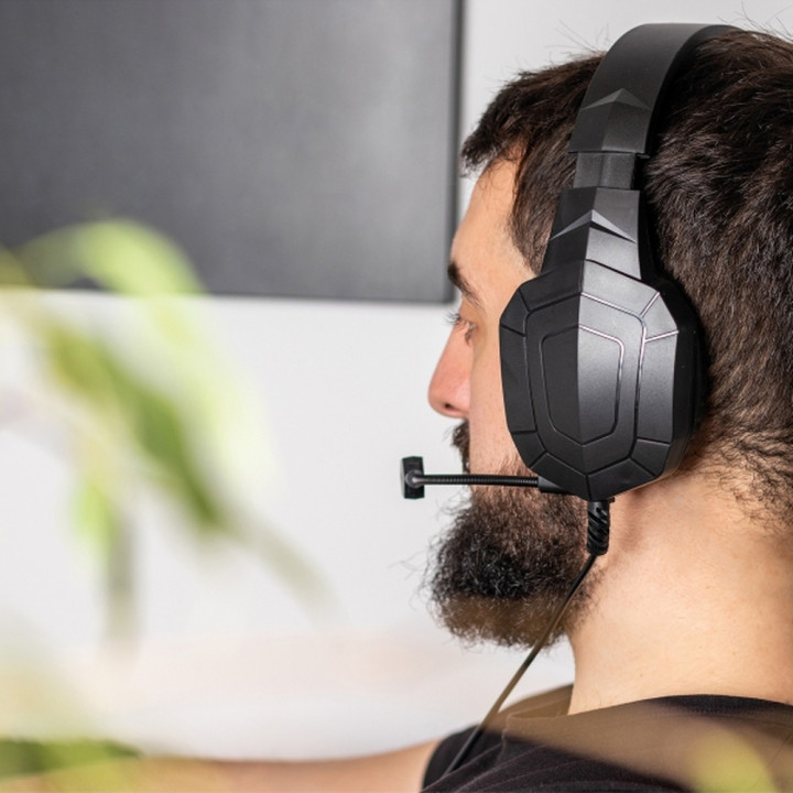 Zestaw słuchawkowy RAFFAELLA