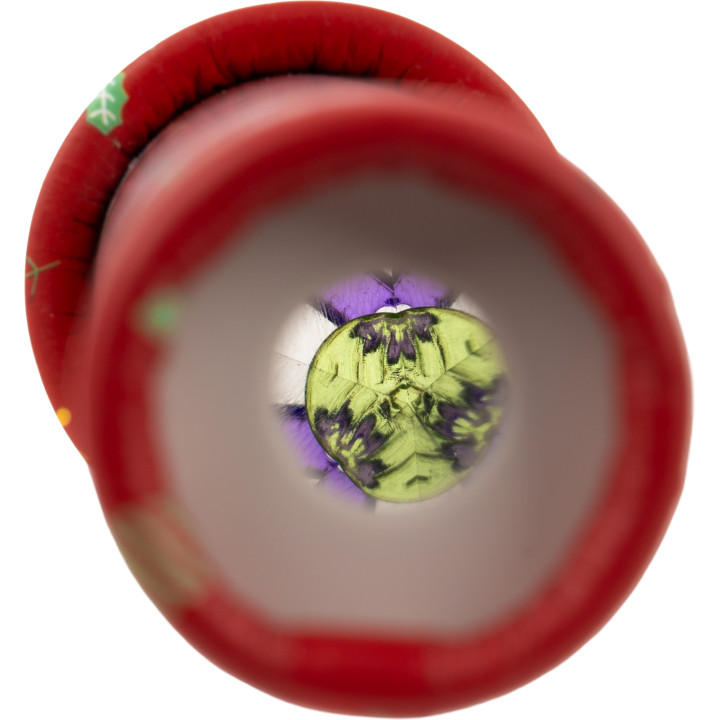 Kalejdoskop ze świątecznym wzorem ERICA